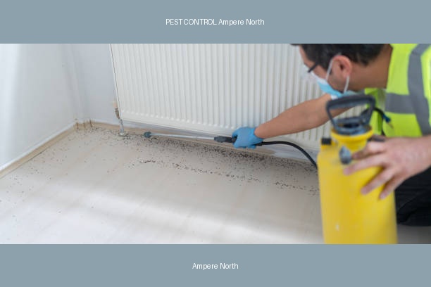 PEST CONTROL Ampere North